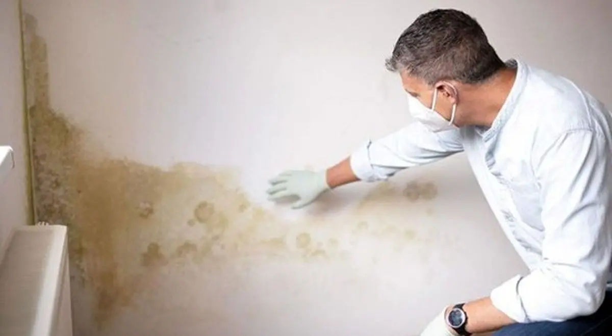 رفع نم و رطوبت مشهد