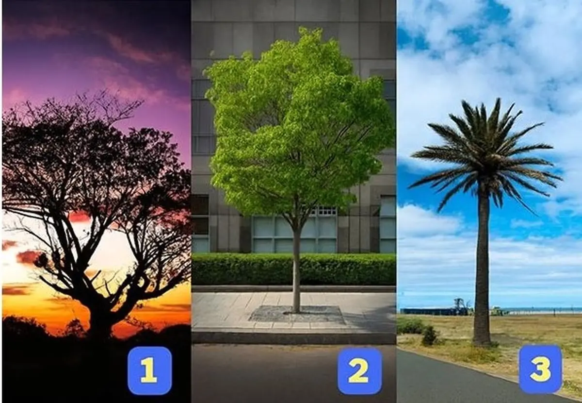 تست شخصیت شناسی: تیپ شخصیتی خود را کشف کنید !