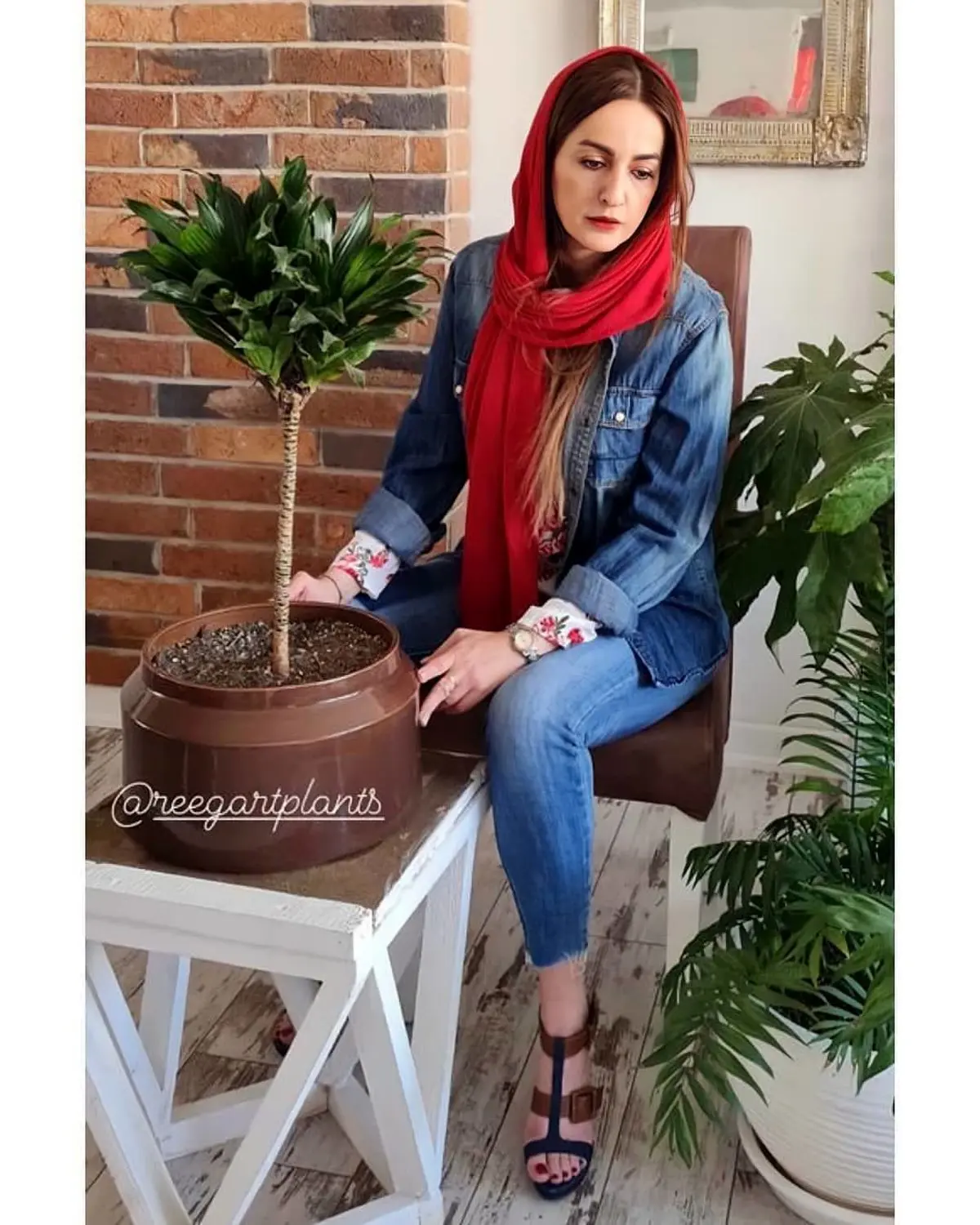 بیوگرافی شقایق دهقان + عکس