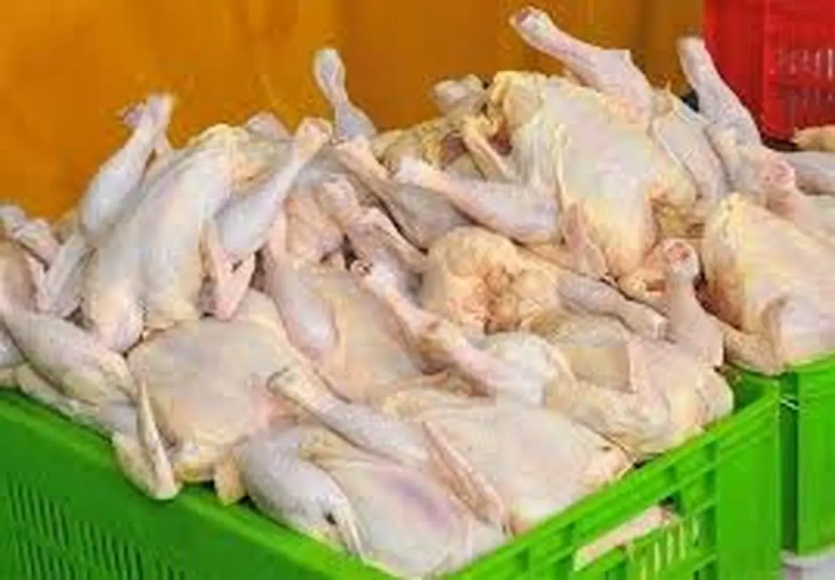 شوک به بازار مرغ؛ فروش مرغ دولتی در تهران آغاز شد | هر کیلو چند؟