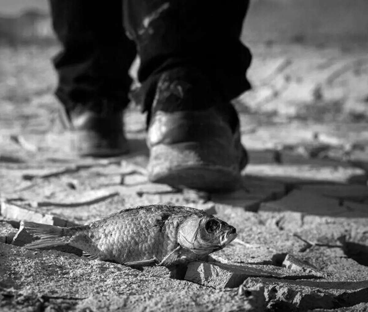 پیش‌بینی خشکسالی در ایران طی ۱۶ سال آینده