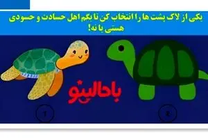 تست شخصیت شناسی/ یکی از لاک پشت ها را انتخاب کن تا بگم اهل حسادتی؟