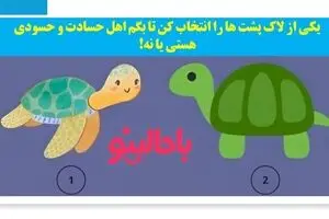 تست شخصیت شناسی/ یکی از لاک پشت ها را انتخاب کن تا بگم اهل حسادتی؟