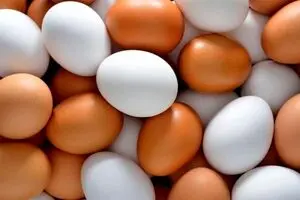 تاثیر شگف انگیز مصرف تخم مرغ بر سلامت بدن