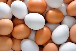 تاثیر شگف انگیز مصرف تخم مرغ بر سلامت بدن