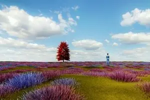 بگو اول چی دیدی تا بگم اولویت زندگیت چیه | تست شخصیت شناسی