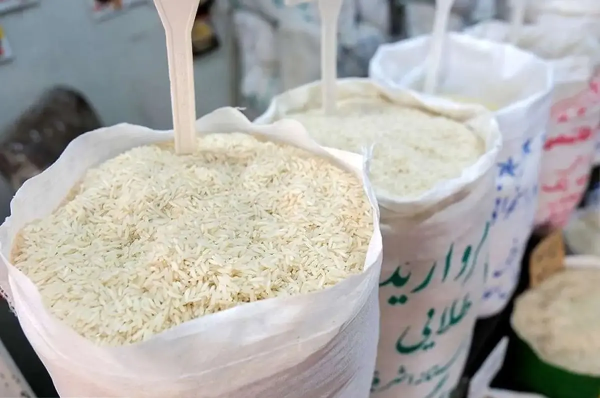جدیدترین جدول قیمت برنج ایرانی امروز چهارشنبه 7 آبان | قیمت برنج ایرانی سقوط کرد