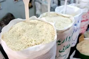 جدیدترین جدول قیمت‌ برنج ایرانی امروز چهارشنبه 7 آبان | قیمت‌ برنج ایرانی سقوط کرد