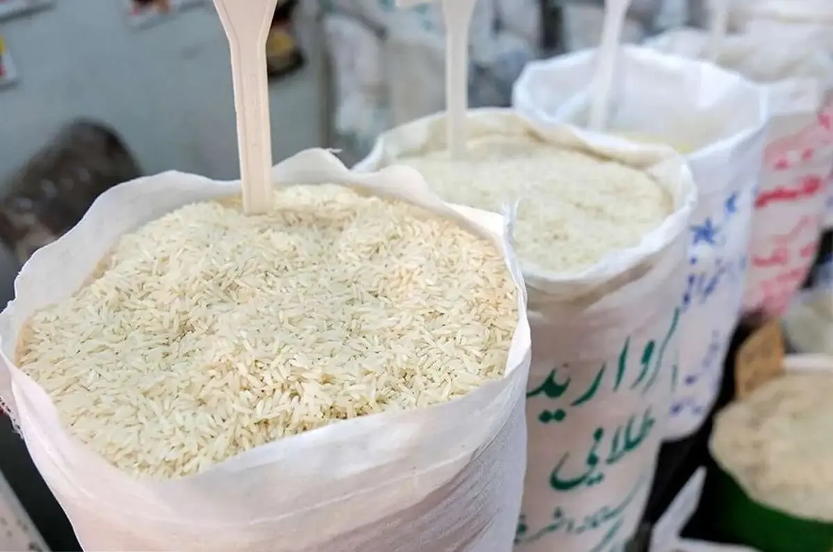 جدیدترین جدول قیمت‌ برنج ایرانی امروز چهارشنبه 7 آبان | قیمت‌ برنج ایرانی سقوط کرد