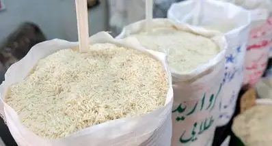 جدیدترین جدول قیمت برنج ایرانی امروز چهارشنبه 7 آبان | قیمت برنج ایرانی سقوط کرد