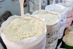 جدیدترین جدول قیمت‌ برنج ایرانی امروز چهارشنبه 7 آبان | قیمت‌ برنج ایرانی سقوط کرد
