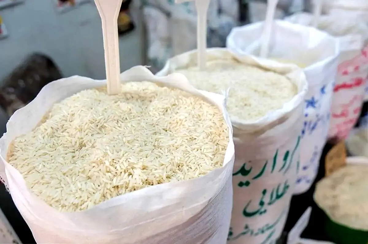 جدیدترین جدول قیمت‌ برنج ایرانی امروز چهارشنبه 7 آبان | قیمت‌ برنج ایرانی سقوط کرد