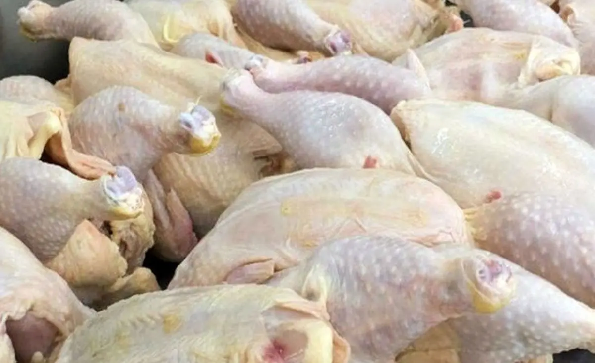 پیش‌بینی جنجالی قیمت مرغ برای رمضان | بازار مرغ طوفانی می شود؟