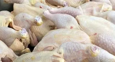 قیمت مرغ امروز ۳۰ بهمن ۱۴۰۴ | موج گرانی مرغ در بازار + جدول