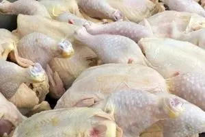 پیش‌بینی جنجالی قیمت مرغ برای رمضان | بازار مرغ طوفانی می شود؟