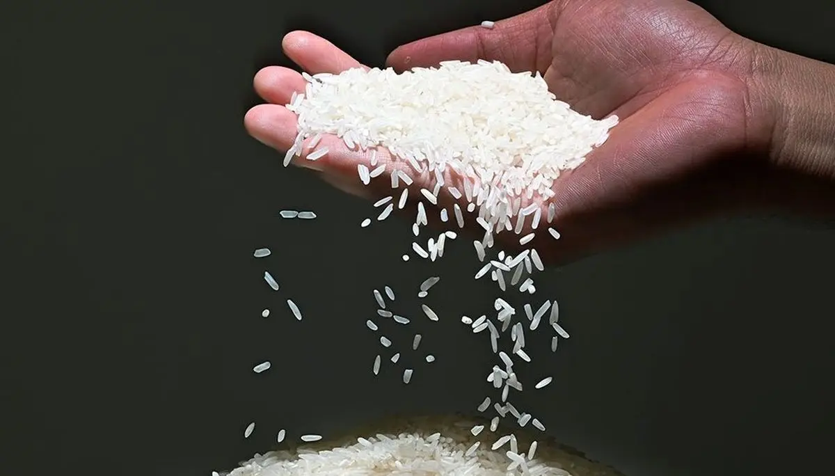 قیمت برنج ایرانی رکورد زد ! | گرانی بی‌سابقه برنج دم سیاه ؛ هر کیلو ۳۸۵ هزار تومان