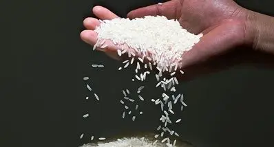 قیمت برنج ایرانی رکورد زد ! | گرانی بی‌سابقه برنج دم سیاه ؛ هر کیلو ۳۸۵ هزار تومان