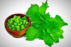 مضرات این نوشیدنی که همه بخاطر لاغری آن را انتخاب میکنند