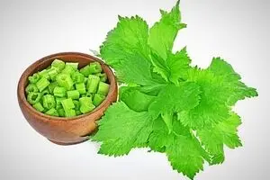 مضرات این نوشیدنی که همه بخاطر لاغری آن را انتخاب میکنند