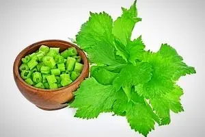 مضرات این نوشیدنی که همه بخاطر لاغری آن را انتخاب میکنند