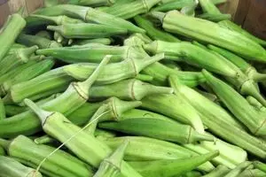 فوت کوزه گری برای اینکه بامیه لزج نشه | ترفند طلایی نگهداری و فریزری کردن بامیه بدون تغییر رنگ