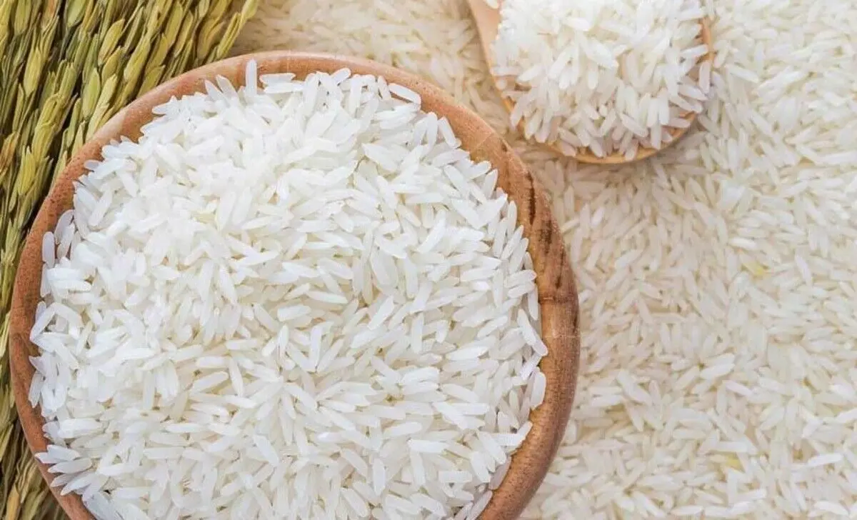 خبر مهم تعزیرات درباره واردات و توزیع برنج | قیمت برنج می‌ریزد ؟ 