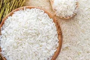 خبر مهم تعزیرات درباره واردات و توزیع برنج | قیمت برنج می‌ریزد ؟ 