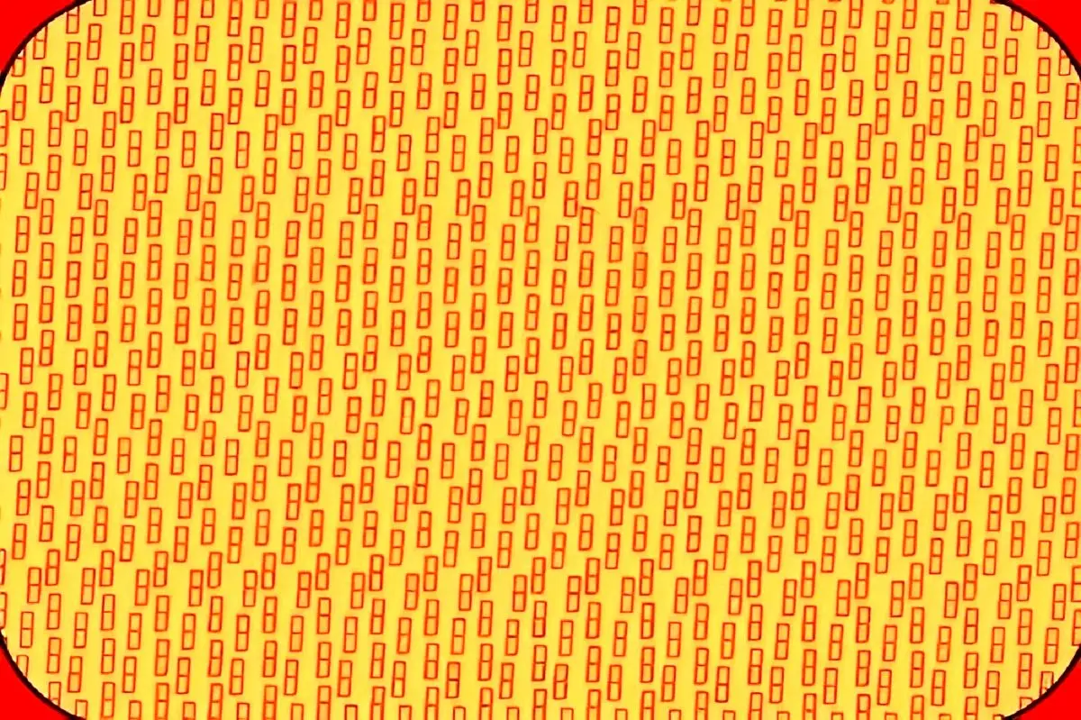 تست بینایی | حرف P مخفی را در عرض چند ثانیه پیدا کنید