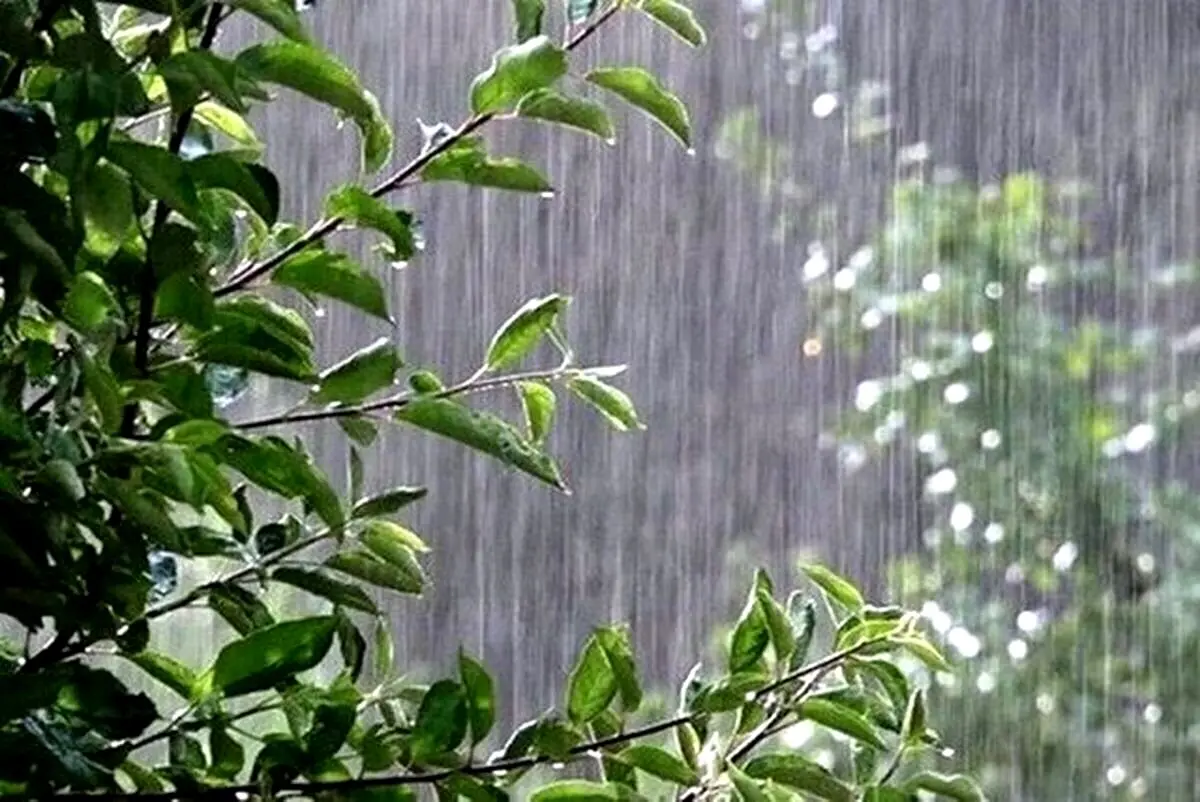 هواشناسی امروز شنبه ۲۲ شهریور