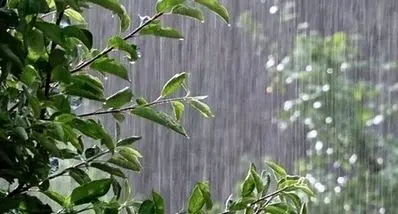 وضعیت آب و هوایی یکشنبه ۱۶ آذر | بارندگی‌های شدید در راه 