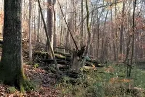 باهوش ها زودی بیان بگن گوزن کجاست؟ | تست هوش