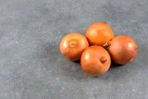 عمرا اگه میدونستی روزی یک پیاز خوردن چه میکنه | خواص پیاز که تا حالا نمیدونستی