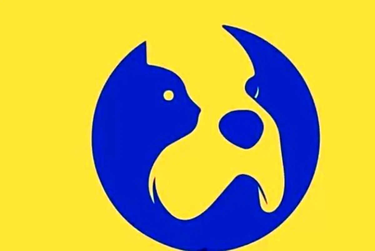 آیا شما فردی قاطع‌ هستید یا خیر؟ | تست شخصیت شناسی