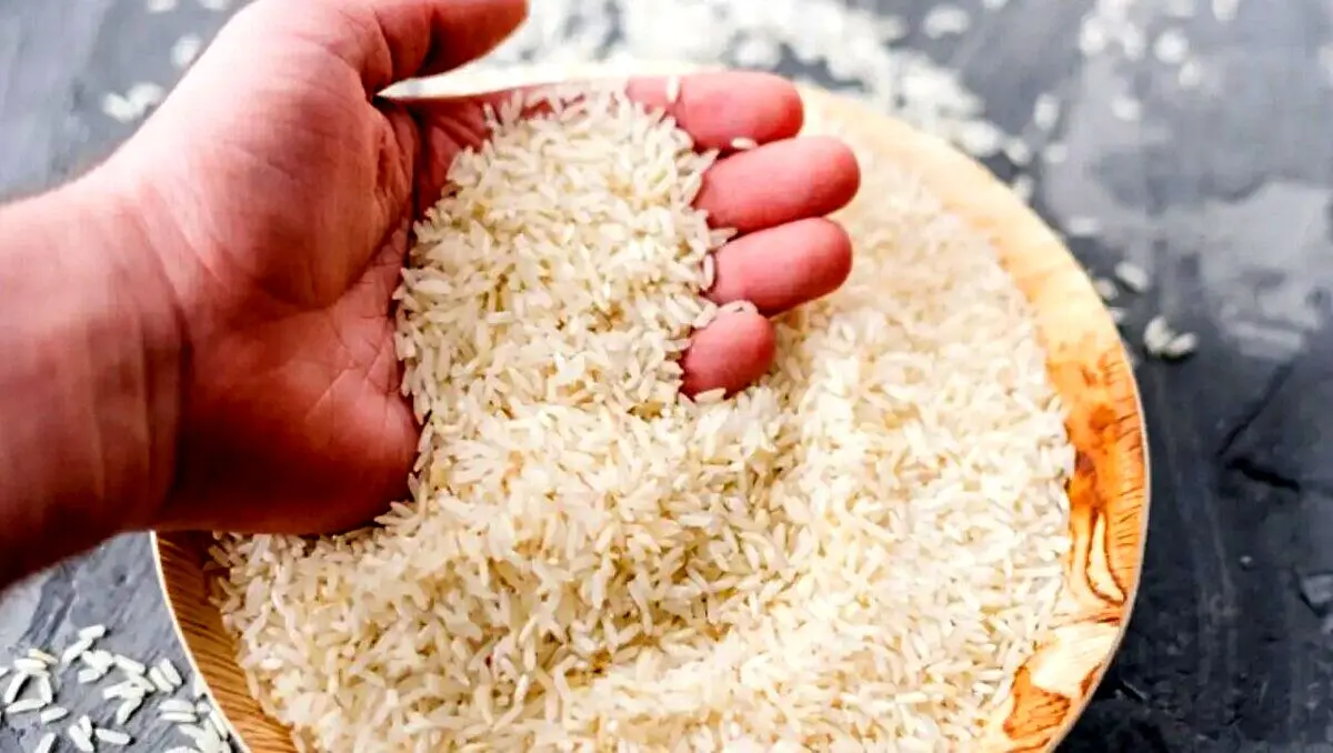 سقوط قیمت برنج پاکستانی | تفاوت قیمت برنج ایرانی و خارجی 