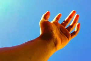 آیا انسان قادر به بازسازی عضو از دست رفته است؟!