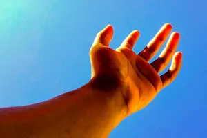 آیا انسان قادر به بازسازی عضو از دست رفته است؟!