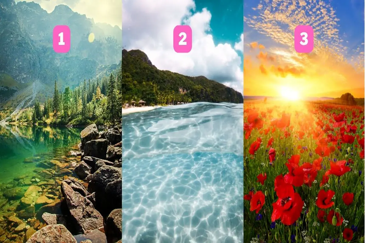 بگو کدوم منظره را انتخاب میکنی تا بهت بگم حست به شلوغی چیه | تست شخصیت شناسی