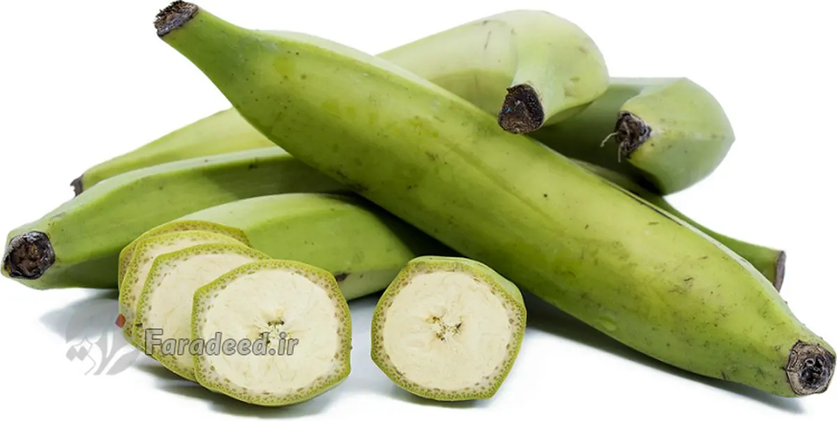 موز از دلار گران تر شد