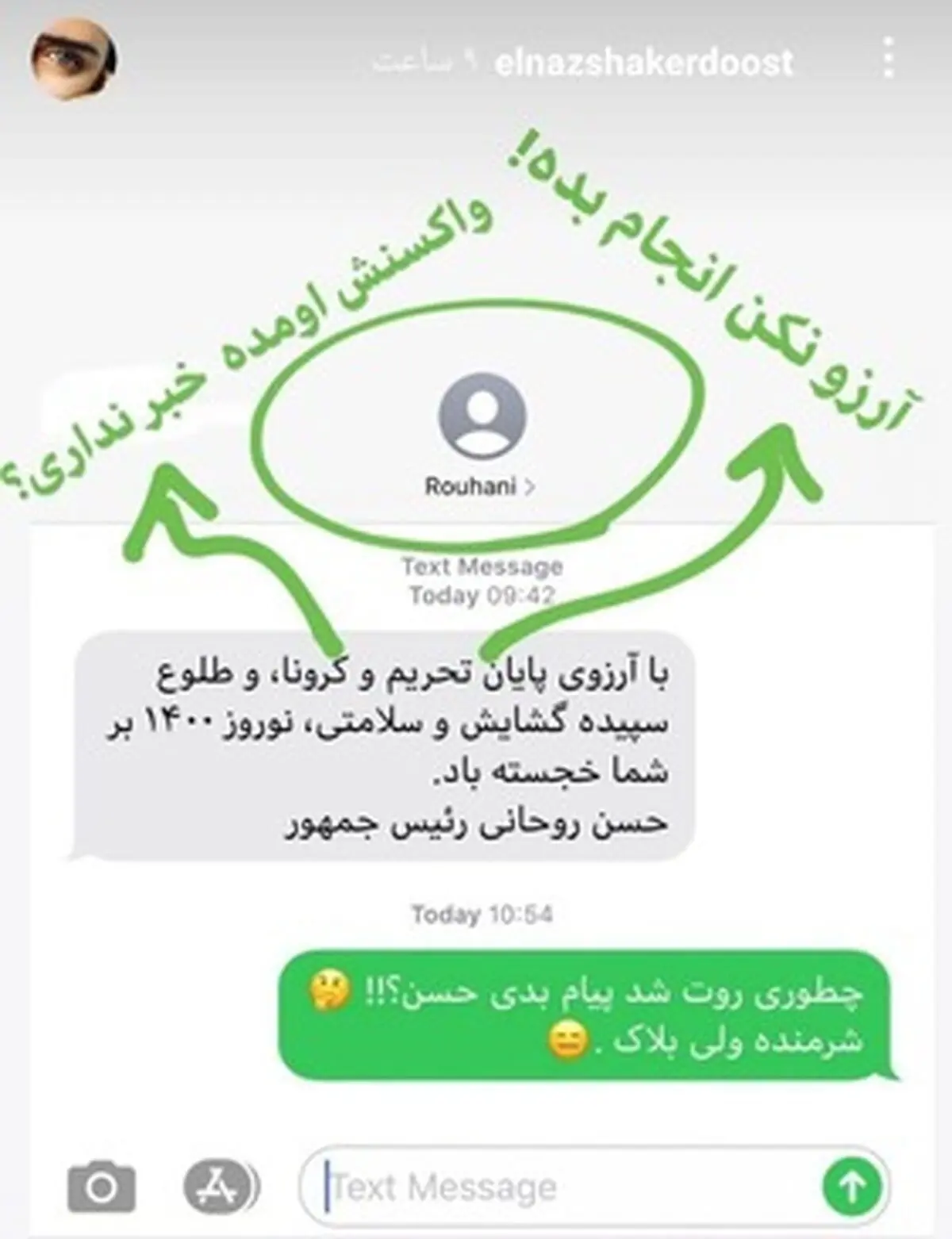واکنش الناز شاکردوست به پیامک نوروزی روحانی