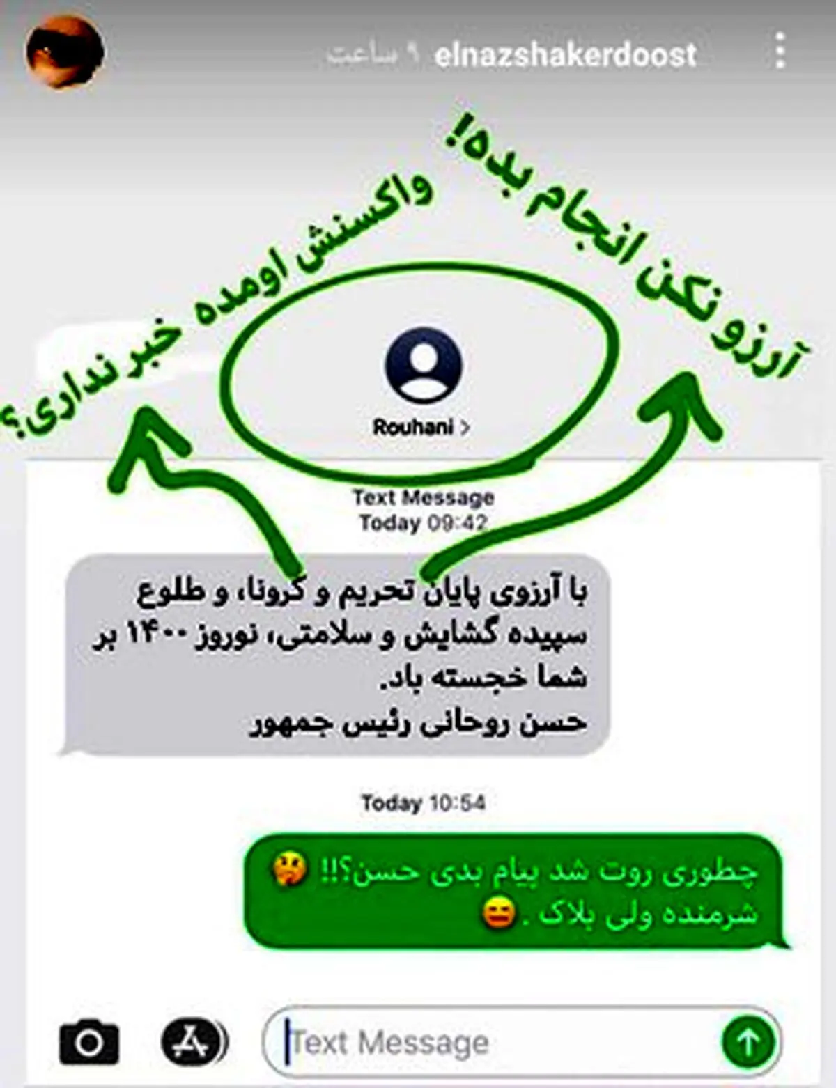 واکنش الناز شاکردوست به پیامک نوروزی روحانی