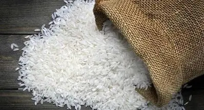 عجیب اما واقعی؛ قیمت برنج یک شبه ۲۰۰ هزار تومان ریخت! | فرصت طلایی خرید 