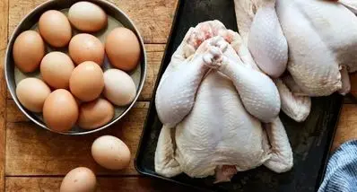 قیمت مرغ در بازار ارزان شد | قیمت روز مرغ چقدر؟