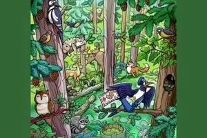 معمای تصویری: آیا میتوانید سنجاب زیرک جنگل را بیابید؟