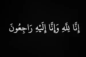 محمد محمدعلی، داستان‌نویس درگذشت